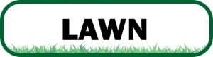 Lawn