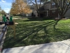 Public-Works-Lawn-Restoration-with-Sod-and-Temporary-Irrigation-1