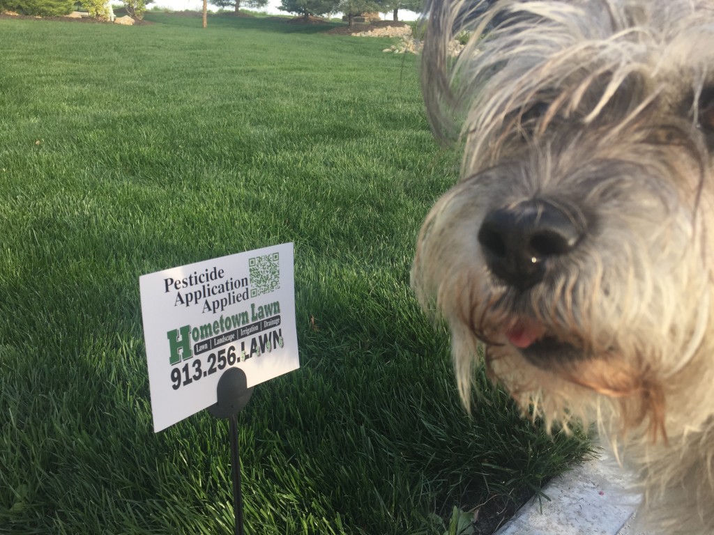Hometown Lawn provides annual step fertilizer applications to turf grass to Gardner, Olathe, Overland Park, Leawood, Stilwell, Lenexa, Shawnee, Roeland Park, Merriam, Mission, Mission Hills