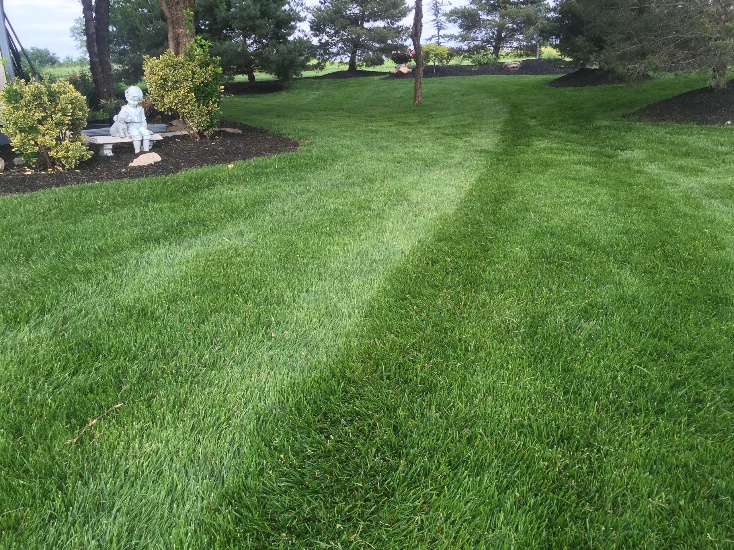 A neatly maintained residential lawn with a mulch bed in the background and a white statue.