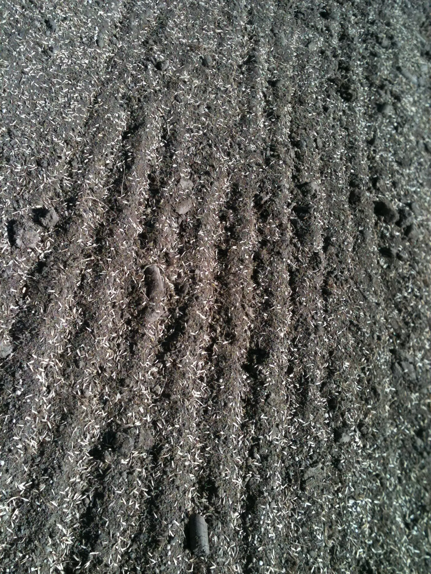 Irrigation system inspection Johnson County Olathe
