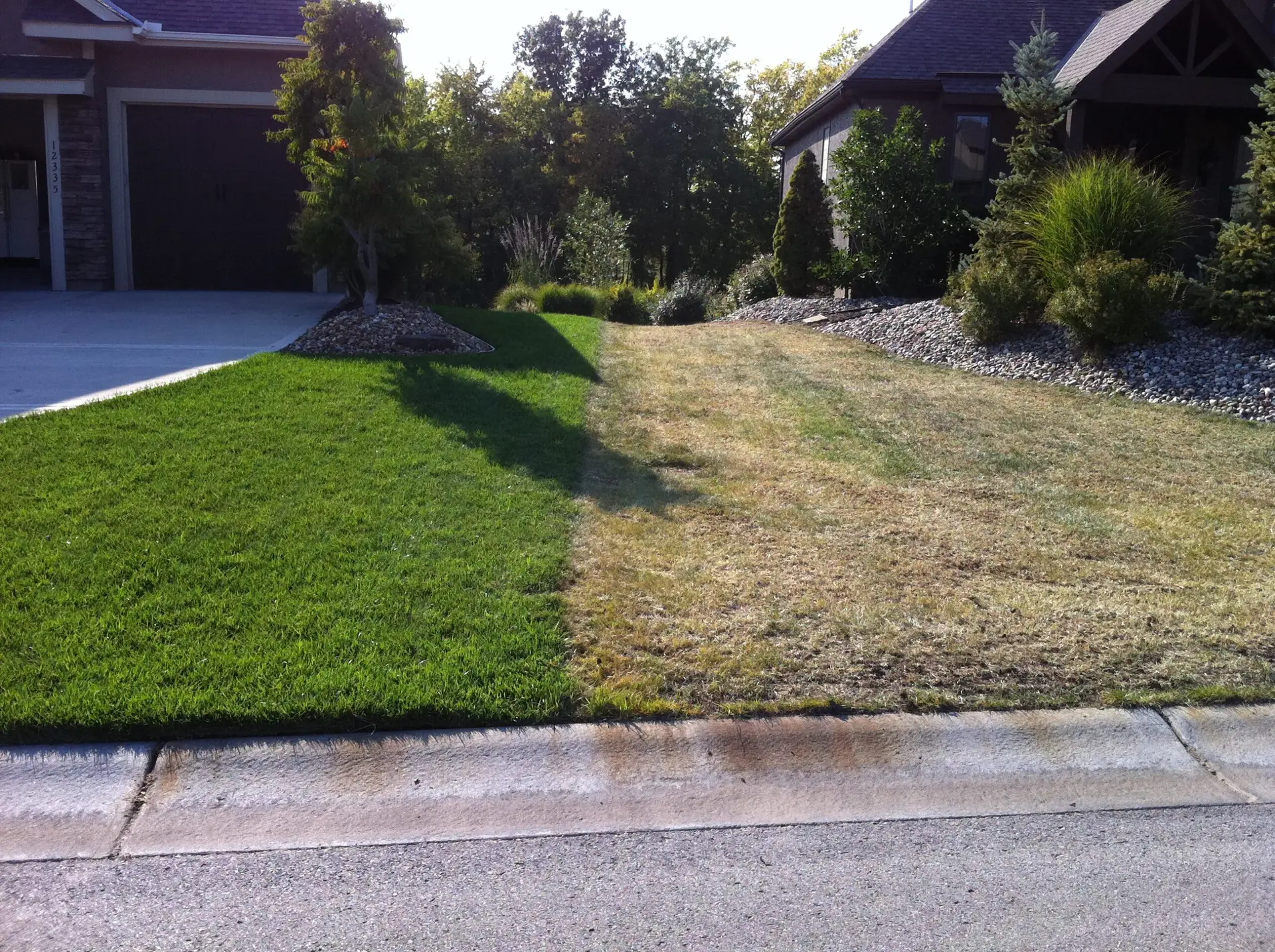 Irrigation system backflow preventer Overland Park