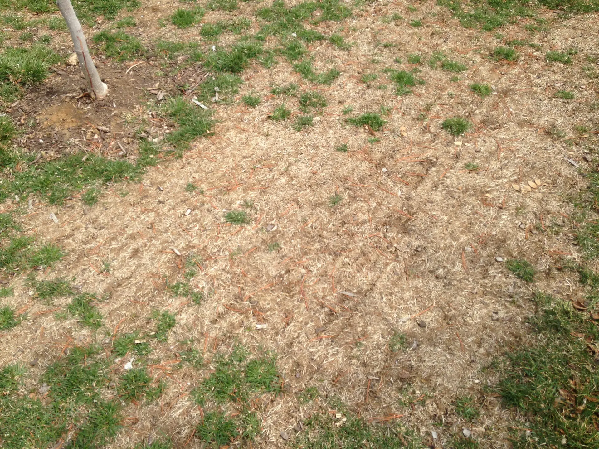 Sprinkler system winterization Johnson County