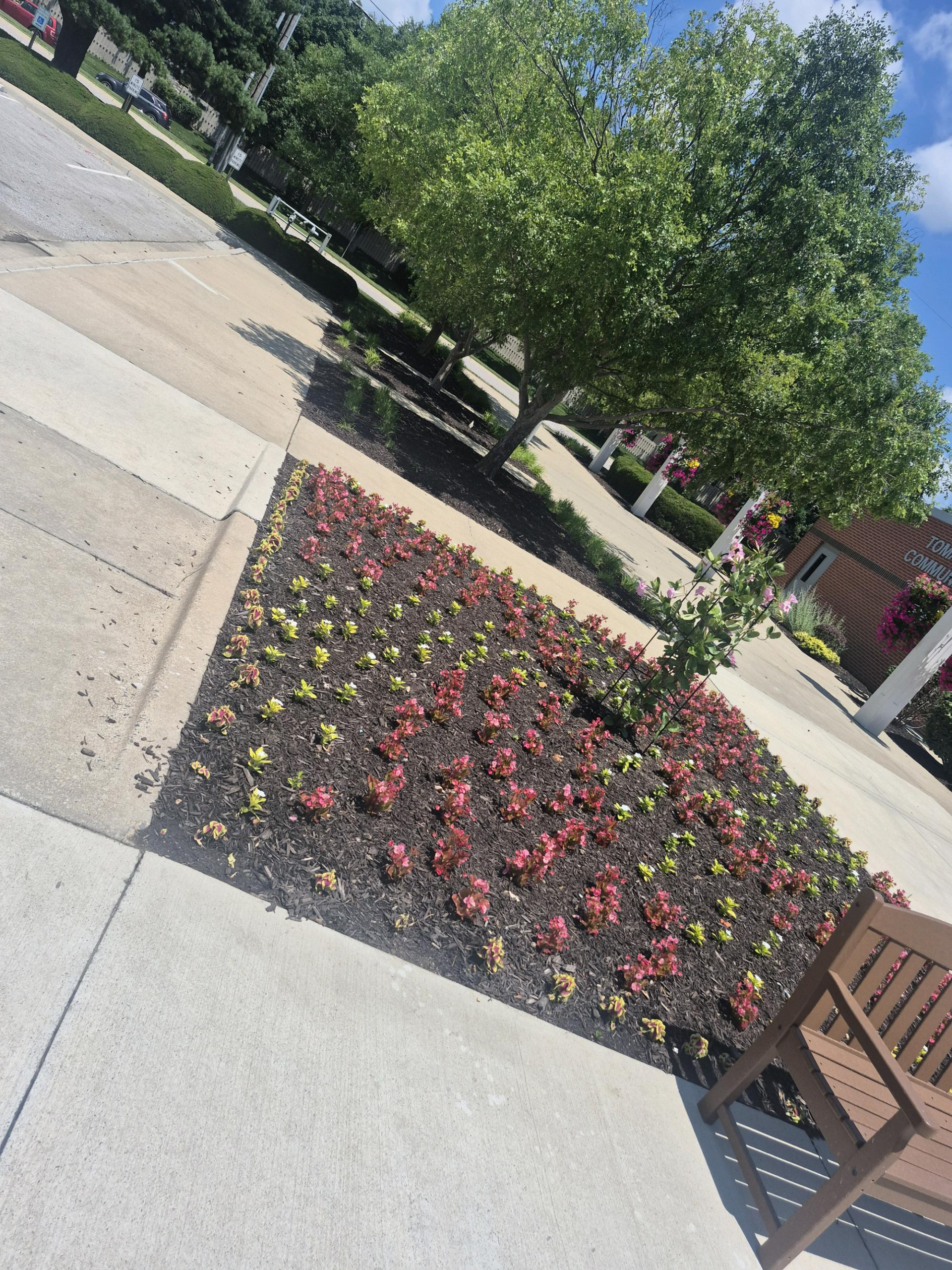 Tree-lined walkway and planting beds at Tomahawk Ridge Community Center, Overland Park